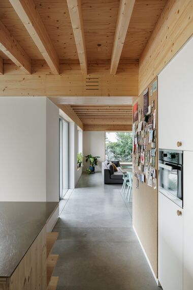 MasterLine 8 Fenêtres, MasterLine 8 Portes et ConceptPatio 130 Coulissants - Bungalow des années 60 au caractère affirmé avec des fenêtres vert mousse situé à Brugge, Belgique