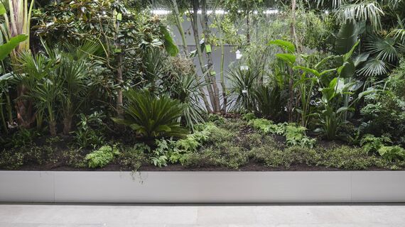 Building Biospheres by Bureau Bas Smets with Stefano Mancuso, Flanders Architecture Institute 2025 © Michiel De Cleene