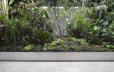 Building Biospheres by Bureau Bas Smets with Stefano Mancuso, Flanders Architecture Institute 2025 © Michiel De Cleene